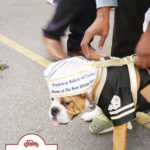 2016 OAK STREET PO-BOY FESTIVAL: Parkway Blowtorch BBQ Beef